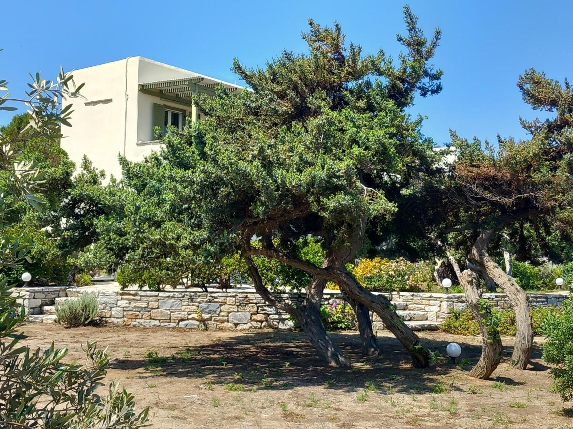 Kedros Villas Agios Prokopios  Exterior photo